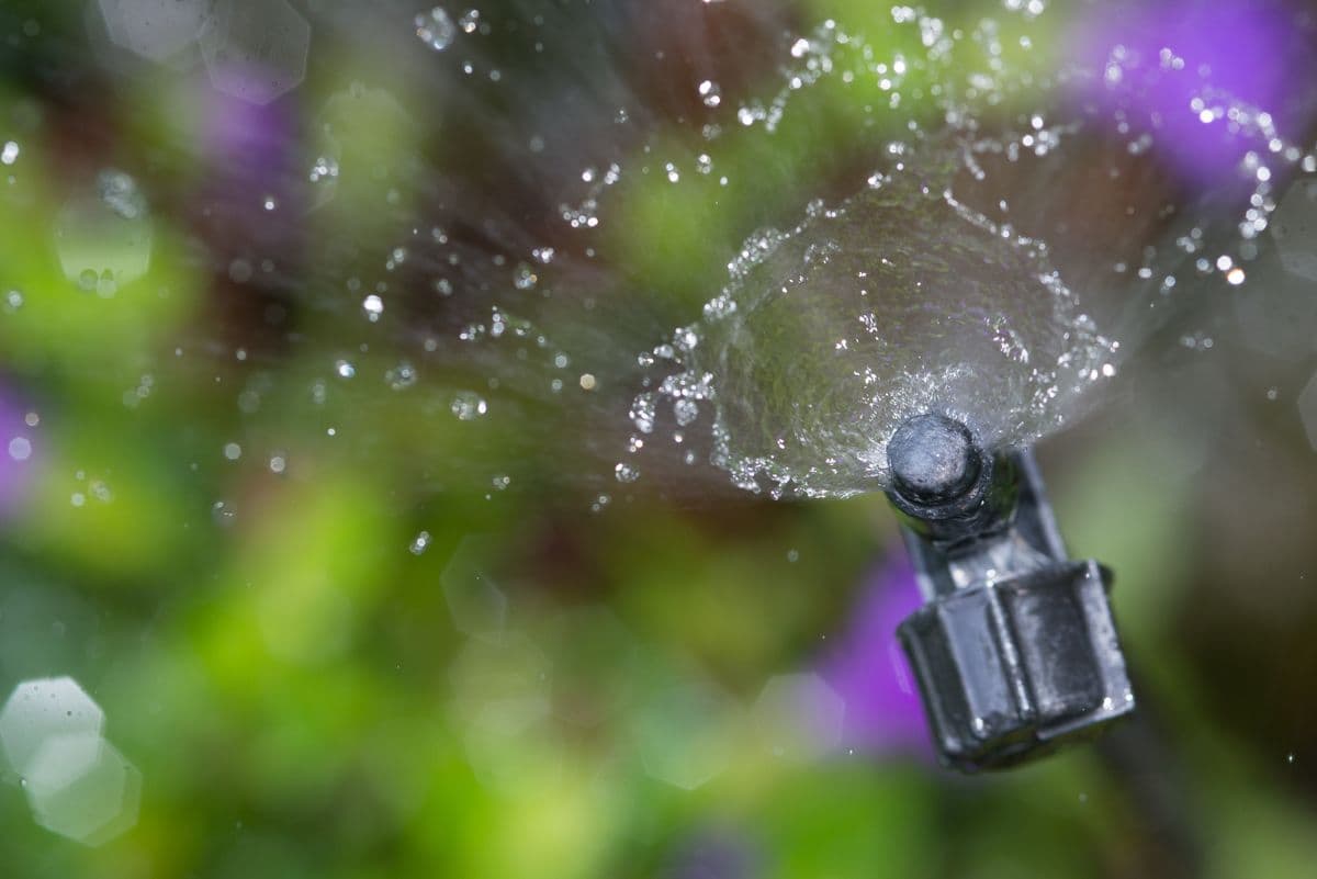 Micro sprinkler spraying water droplets