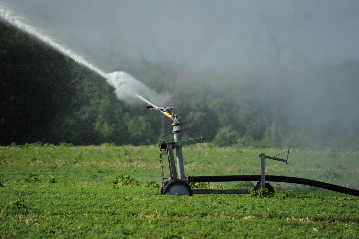 Raingun irrigating a green field