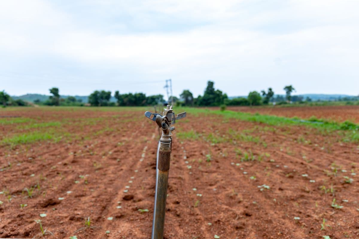 Field sprinkler on prepared farmland